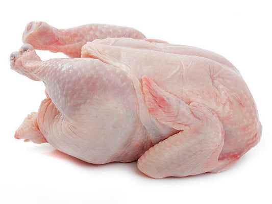 Fresh Broiler Chicken