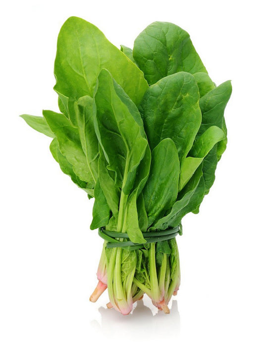 Fresh Spinach Leaf Bunch