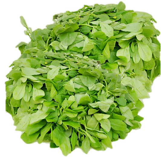 Fresh Waterleaf 1Kg