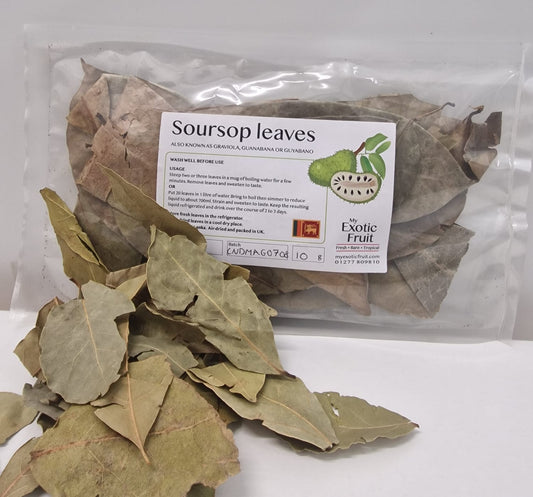 Soursop Leaves (Graviola Guanabana or Guyabano)